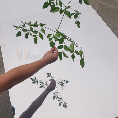 Le SEDERE hanno finito il SUS eccellente dello strato di acciaio inossidabile dello specchio 430 1500mm laminati a freddo