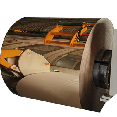 ASTM 201 304 316 bobine laminate a freddo di acciaio inossidabile dello specchio con PVD Rose Gold Coating