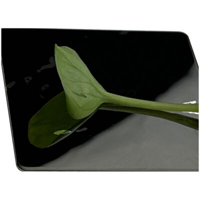 Black Mirror Stainless Steel Sheet in AISI 201 304 316 with Factory Direct Supply