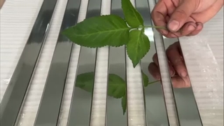 Test di riflessione del tubo rettangolare in acciaio inossidabile a specchio SUS 304 8K da 30x10 mm